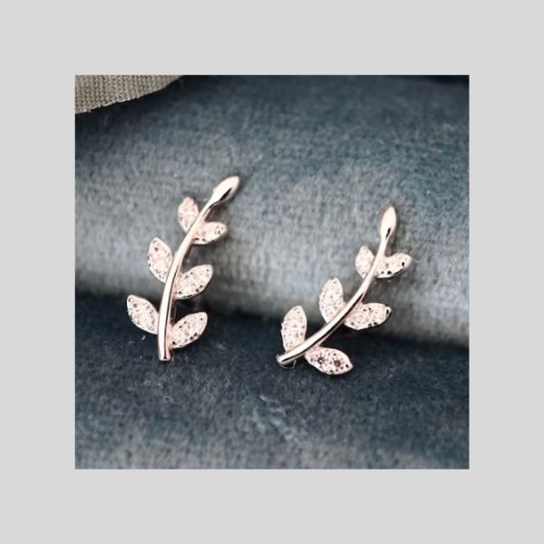 pendientes trepadores plata