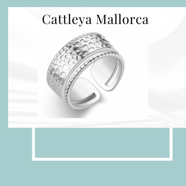 Anillo Hidra