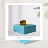Anillo Ancho VANDA