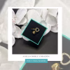 anillo doble corazón
